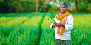 Humans of iFarmer - Abdur Rahman